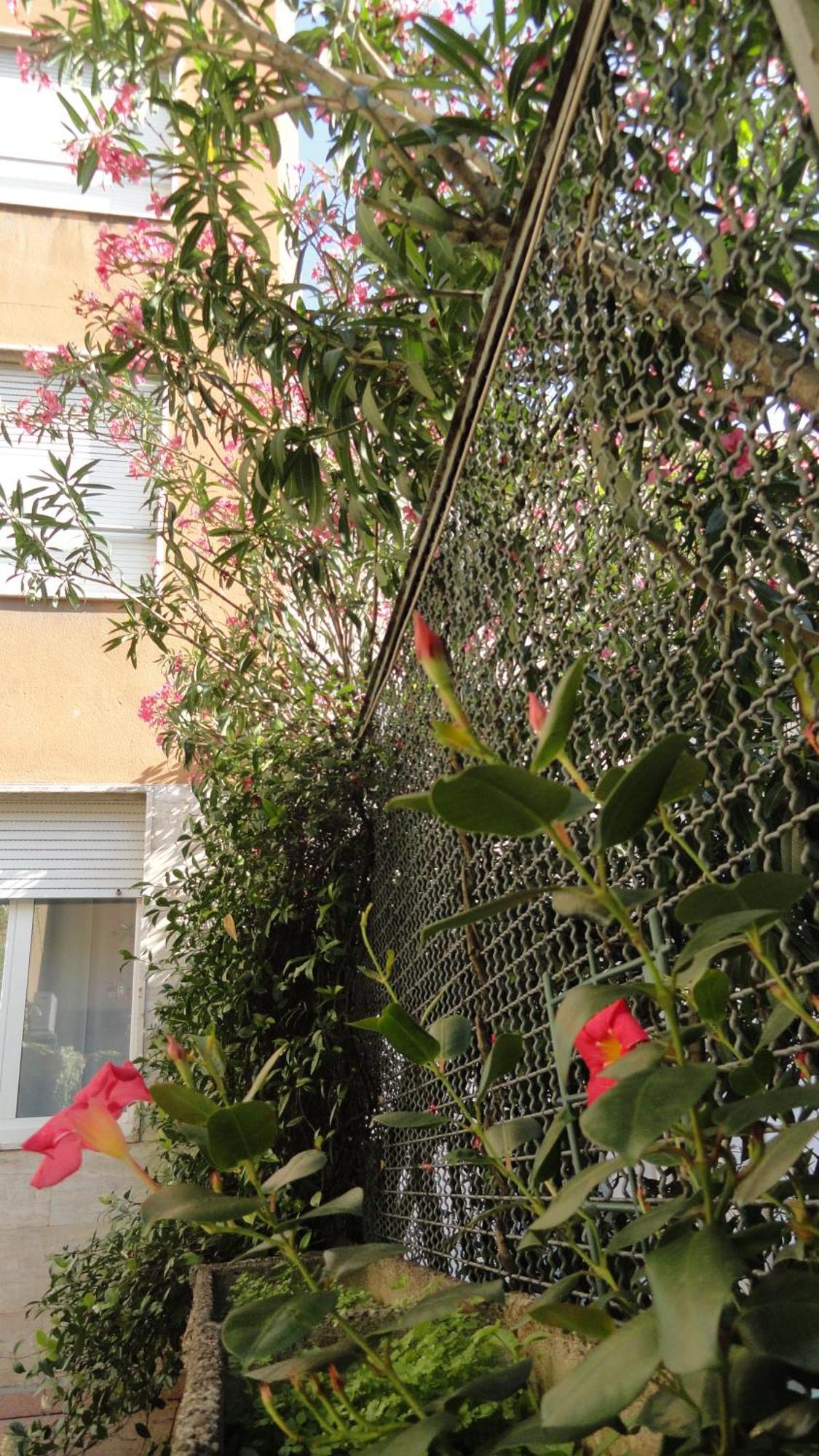 Residence Giusti 6 Milán Exterior foto